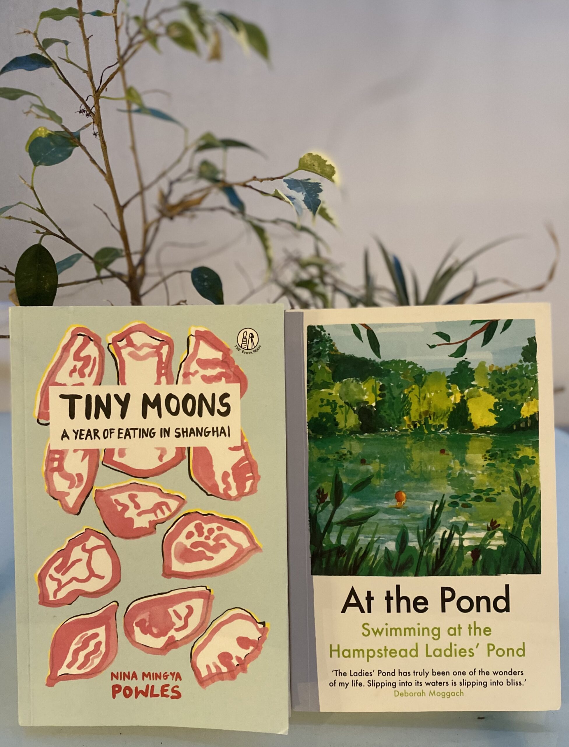 Image of two books, Tiny Moons and At the Ponds